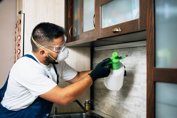 Best Emergency Pest Control  in Bethany, OK