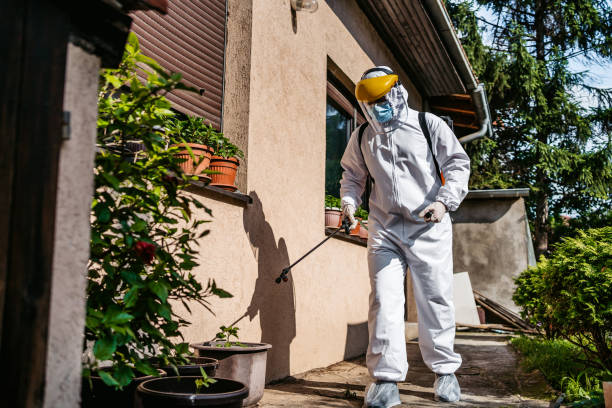 Best Rat Extermination Near Me  in Bethany, OK