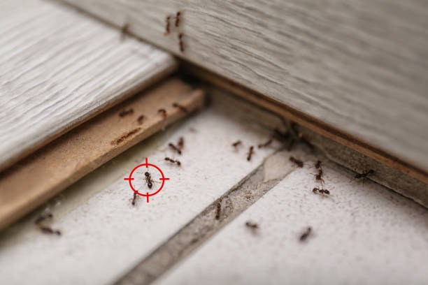 Best Commercial Pest Control Services  in Bethany, OK