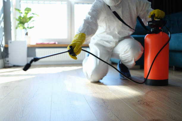 Professional Pest Control in Bethany, OK