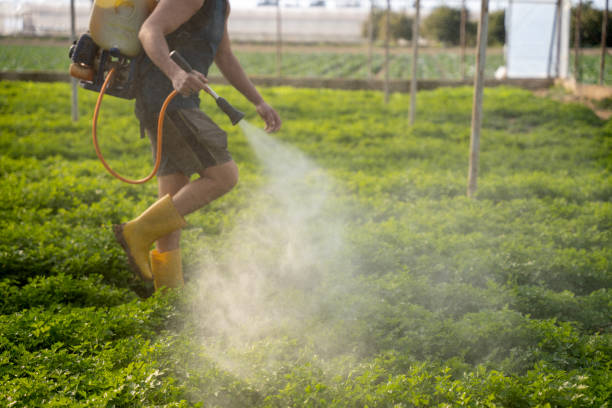 Best Best Pest Control Companies  in Bethany, OK
