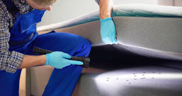 Best Exterminator Services  in Bethany, OK